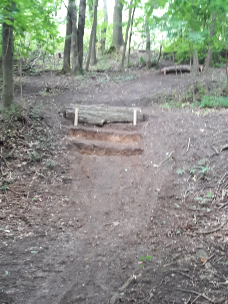 Keine Angst- es gibt auch eine B-Linie!