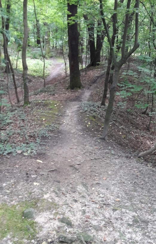 Durch den Weißenfelser Dschungel