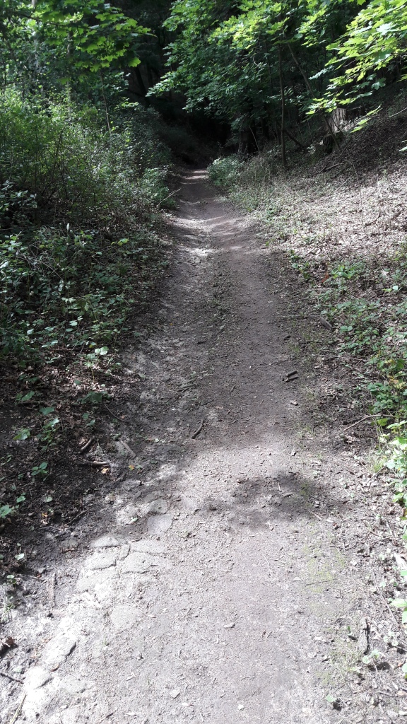 Sanfter Anstieg: Genug Platz zum Überholen!