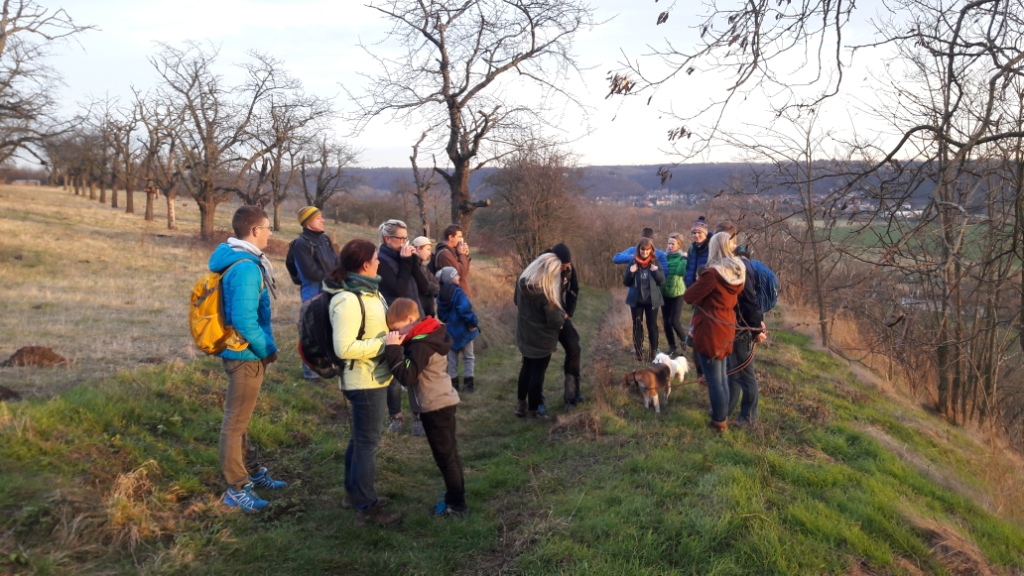 Die Wandergesellschaft blickt ins Saaletal