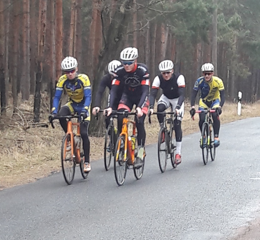 ...durch die Dübener Heide.