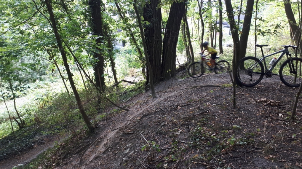 Training auf der Weißenfelser MTB-Strecke im Singerschen Holz
