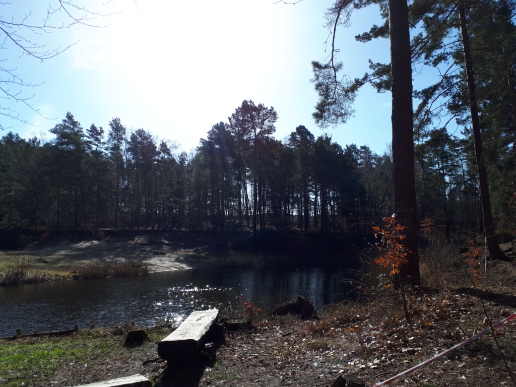 ...rund um den idyllischen Friedrichsee
