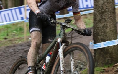 Aufwärtstrend in Nove Mesto