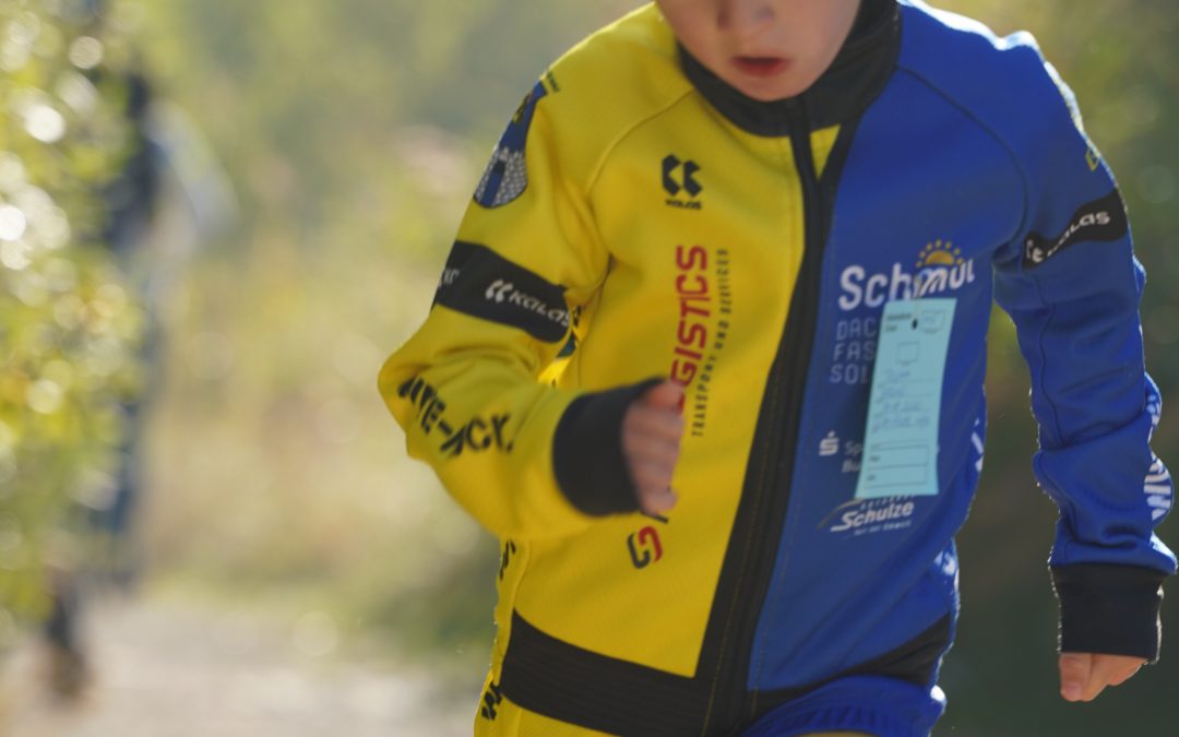 Geiseltalsee- Lauf